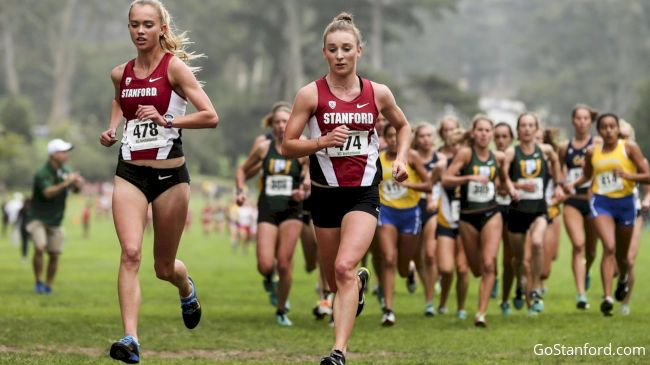 NCAA Cross Country Showdown: Top Teams and Stars to…