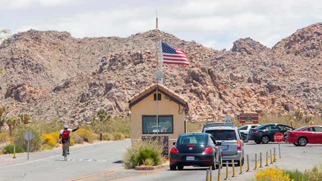 Joshua Tree on the Rise: 3.2 Million Visitors Flock to the…