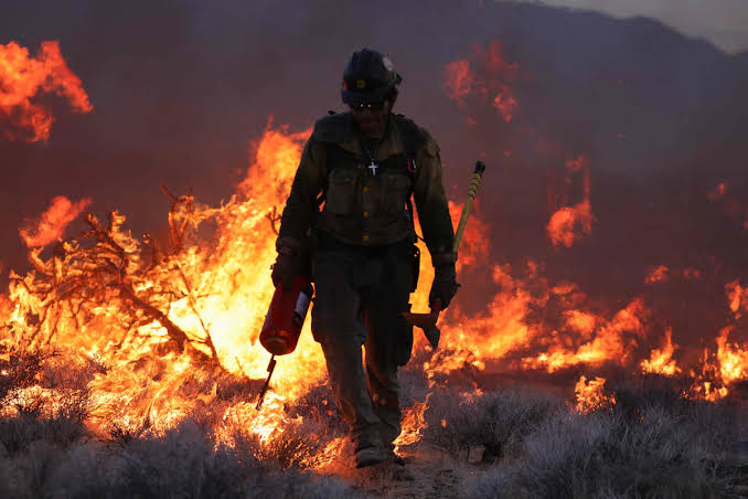 Devastating Wildfire Claims Lives and Landscapes in Joshua Tree National Park…